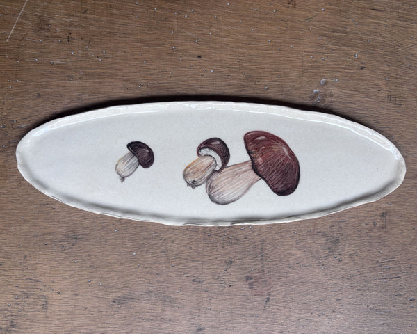 Boletus