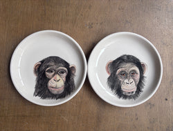Chimpancés