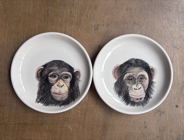 Chimpancés