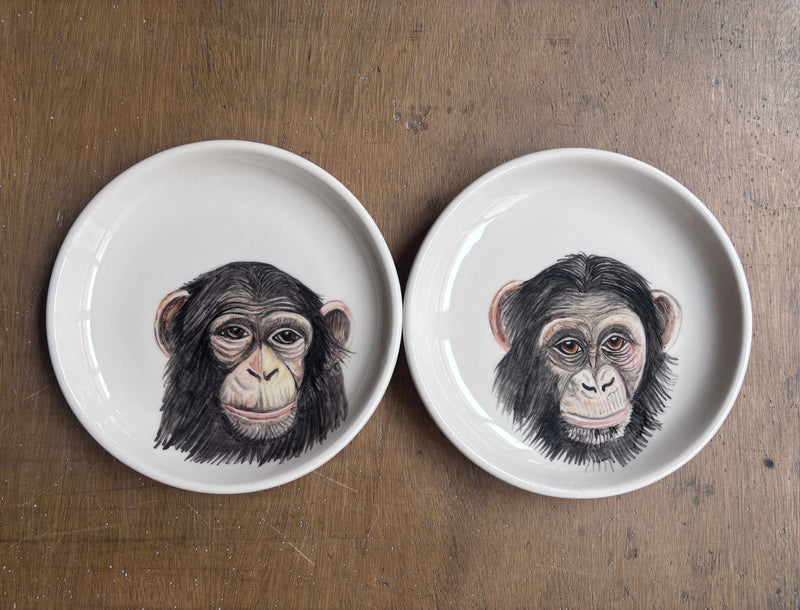 Chimpancés