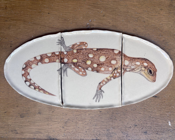Lagarto