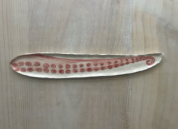 Pata Pulpo 1