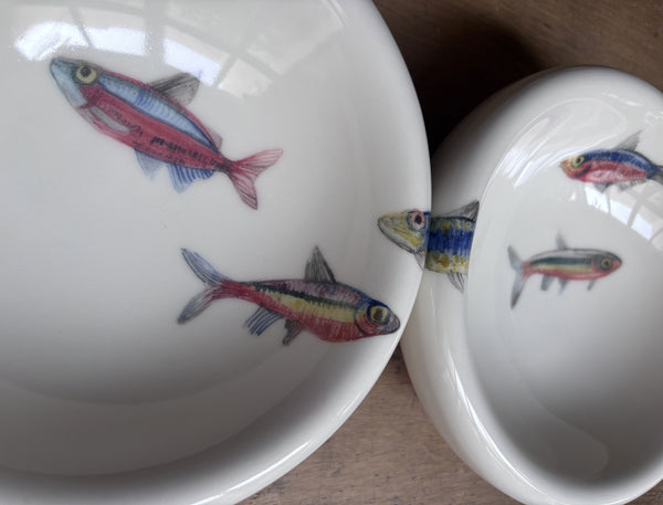 Peces