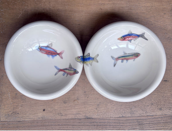 Peces