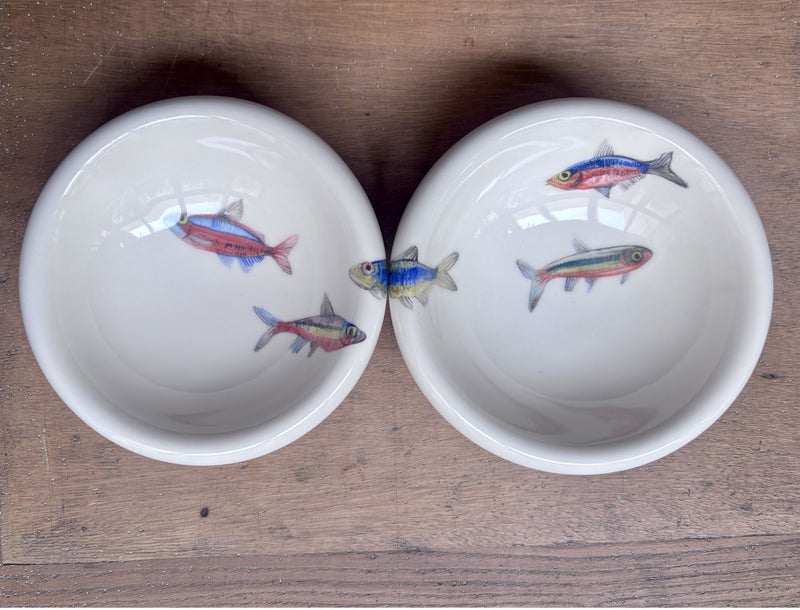 Peces