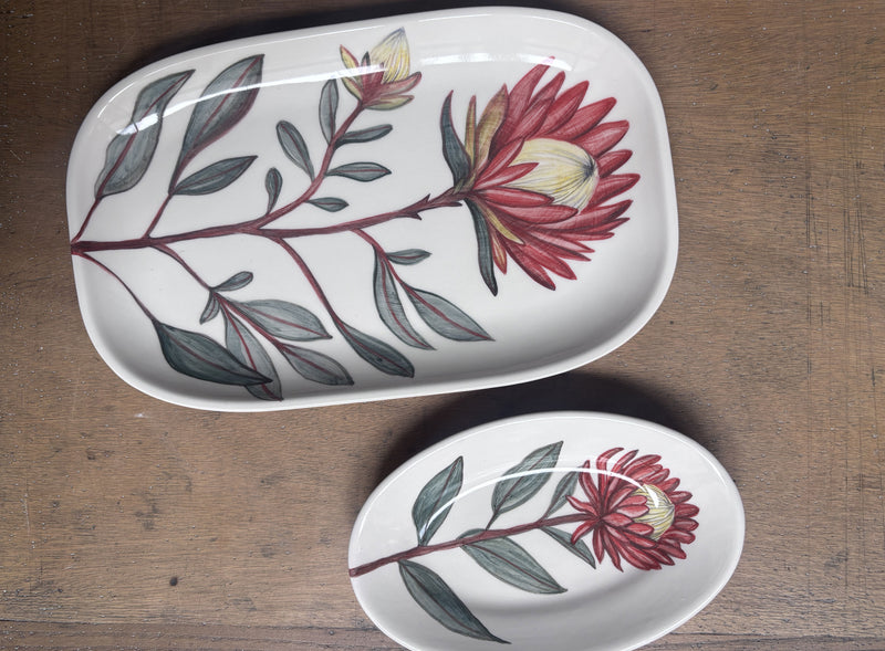 Protea