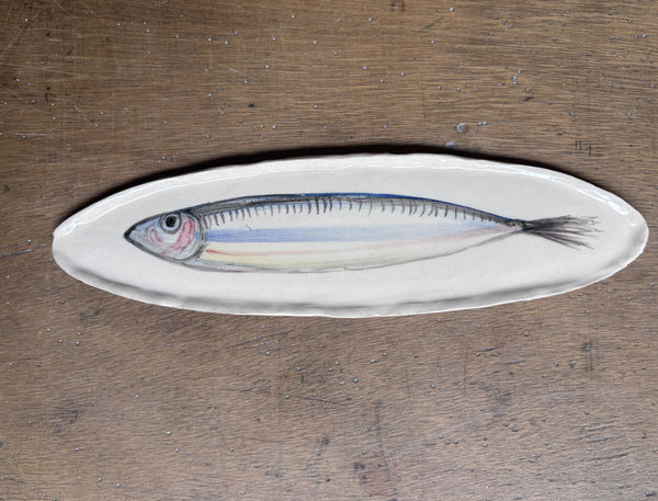 Sardina