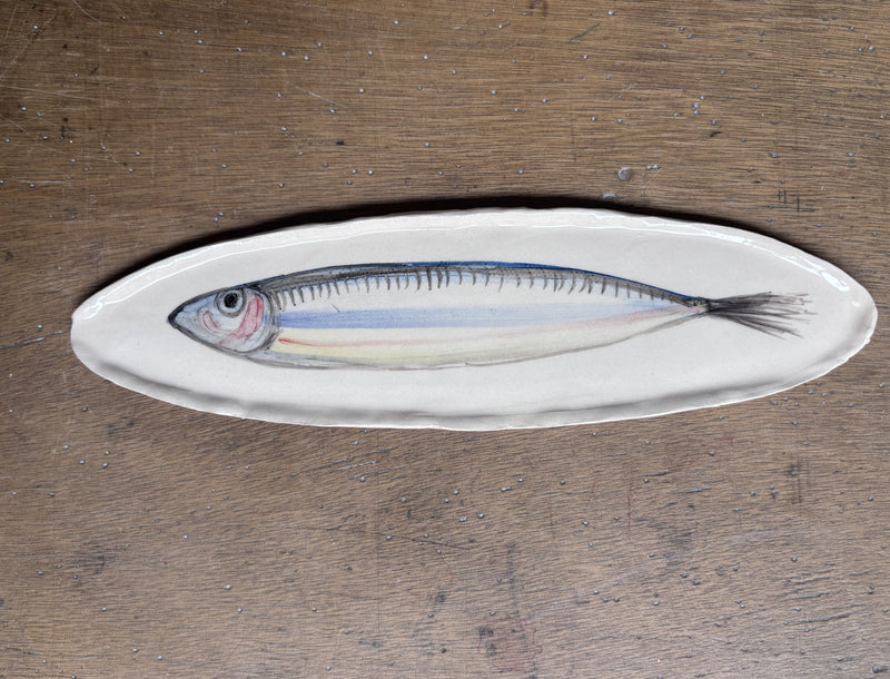 Sardina