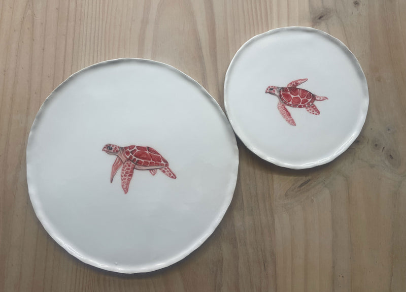 Tortugas