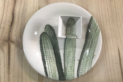 Cactus Verde